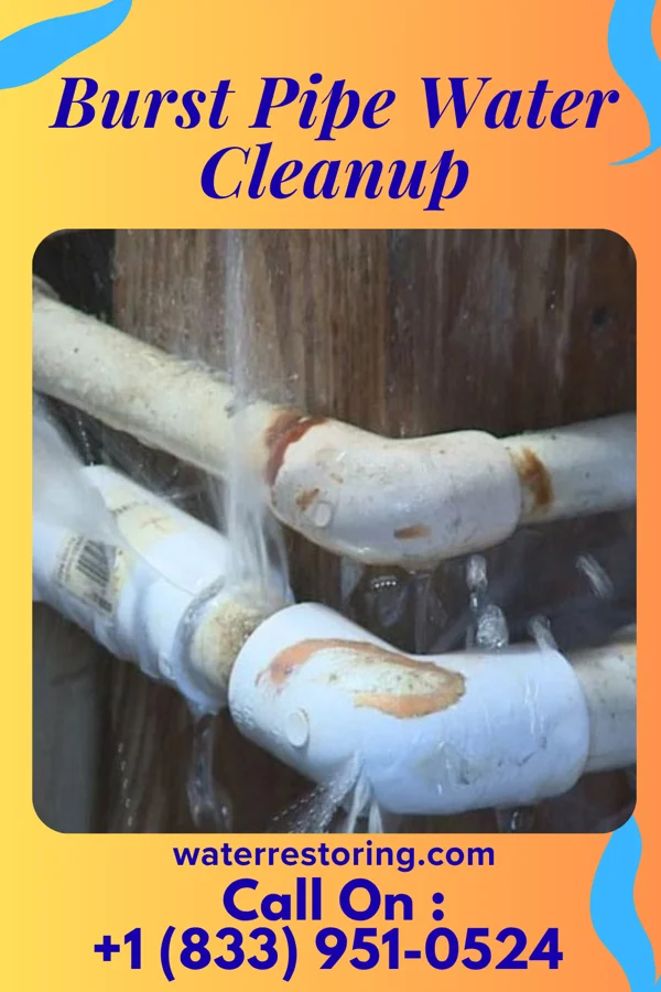 Burst Pipe Water Cleanup in Port Sanilac, MI
