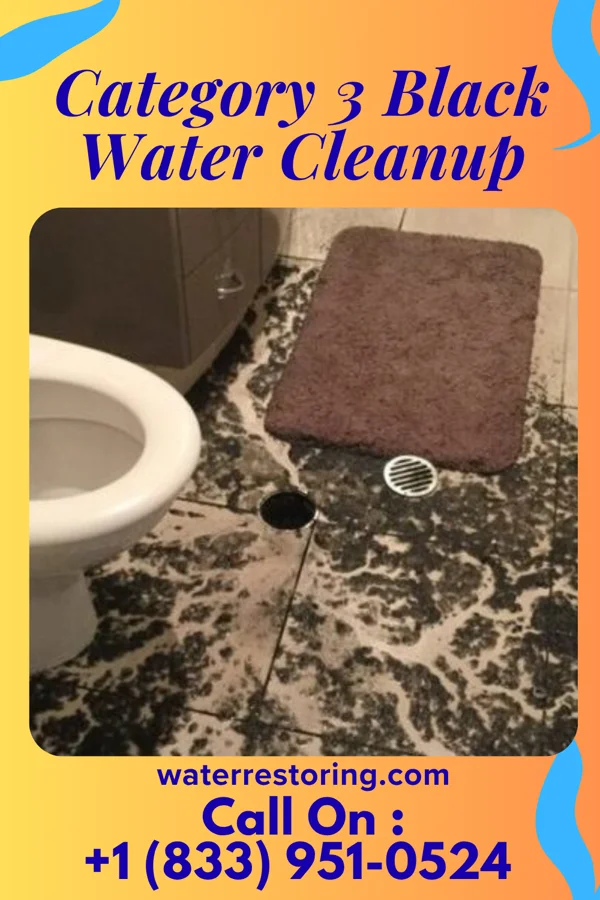 Category 3 Black Water Cleanup in Port Sanilac, MI