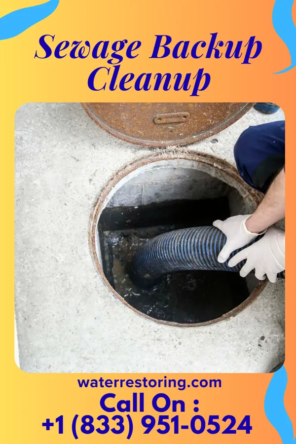 Sewage Backup Cleanup in Port Sanilac, MI